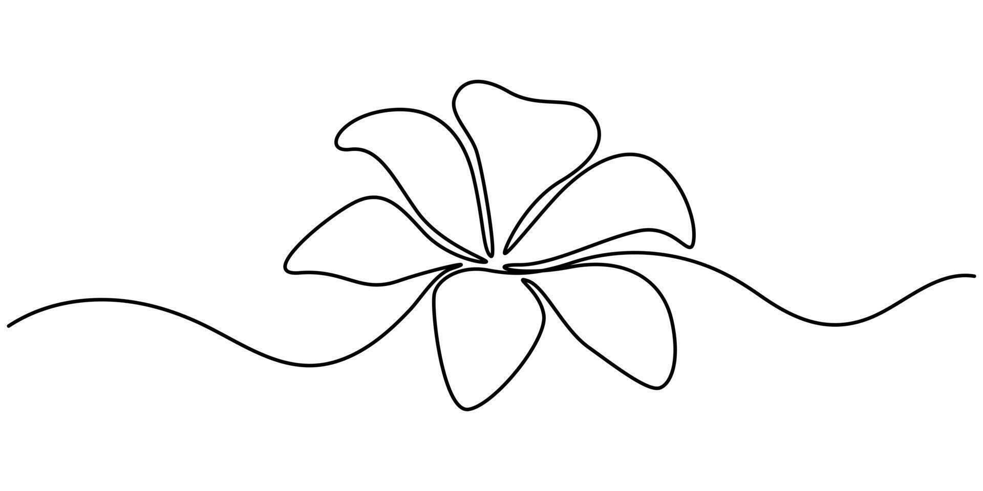 Single one line lily flower in single continuous line drawing style silhouette vector