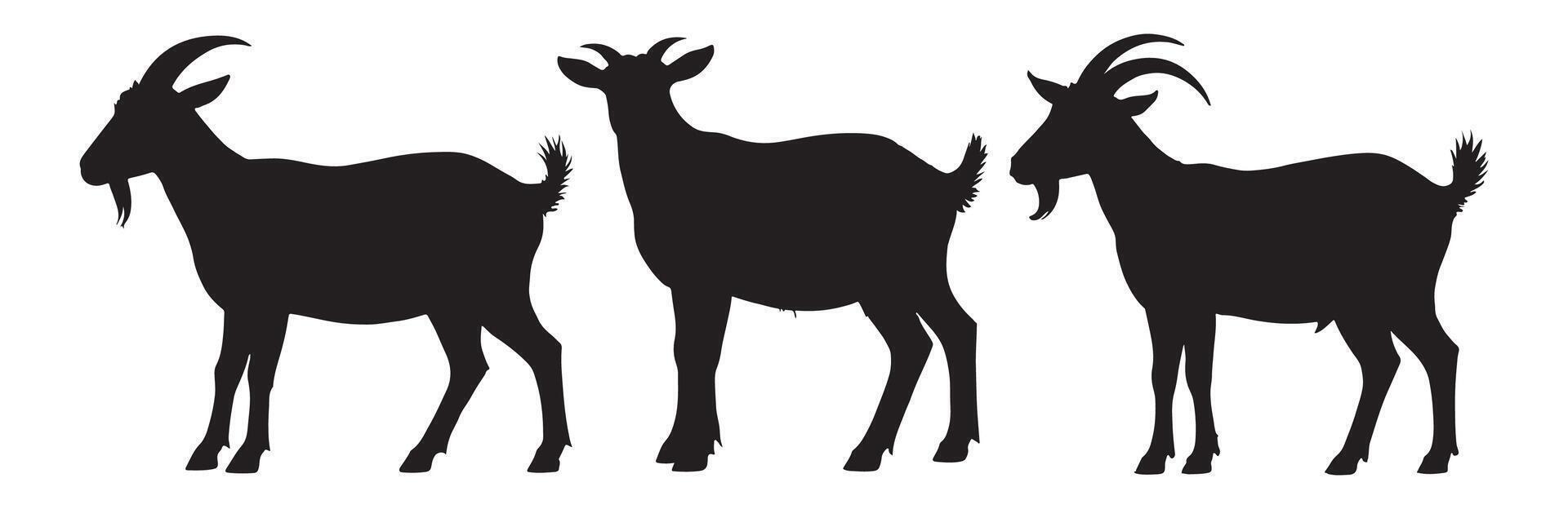 Three Majestic Goat Silhouettes Elegant Black Profiles of Farm Animals on White Background, Captivating Rural Scene vector