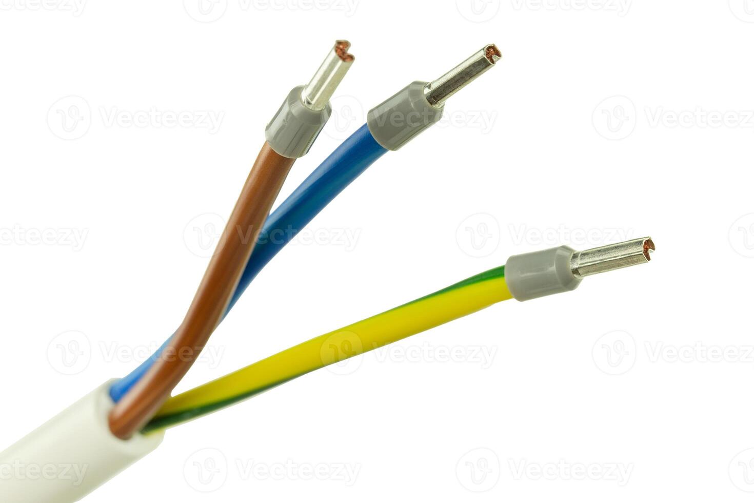 Color Coded Electrical Wires with Terminals photo