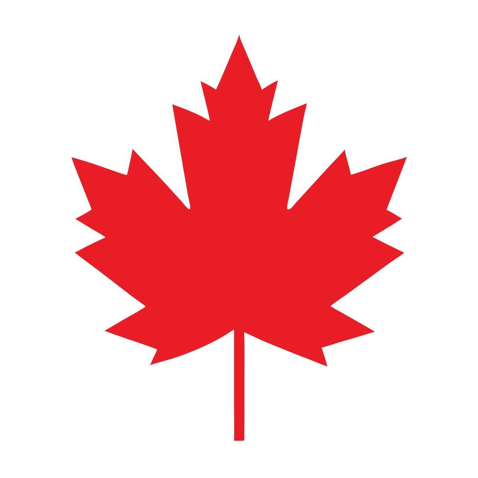 Striking Red Maple Leaf on White Background Celebrating Canada Day Festivities and National Pride vector
