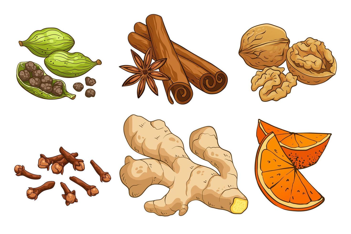 Traditional Christmas spices and ingredients. cardamom, star anise, cinnamon, walnut, clove, ginger, and orange slices. Hand-drawn illustration, isolated on white background vector