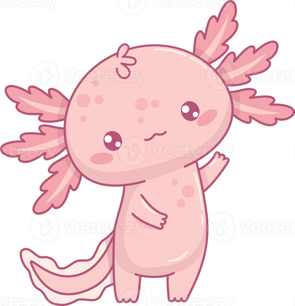 Cute pink Axolotl Little kawaii character png