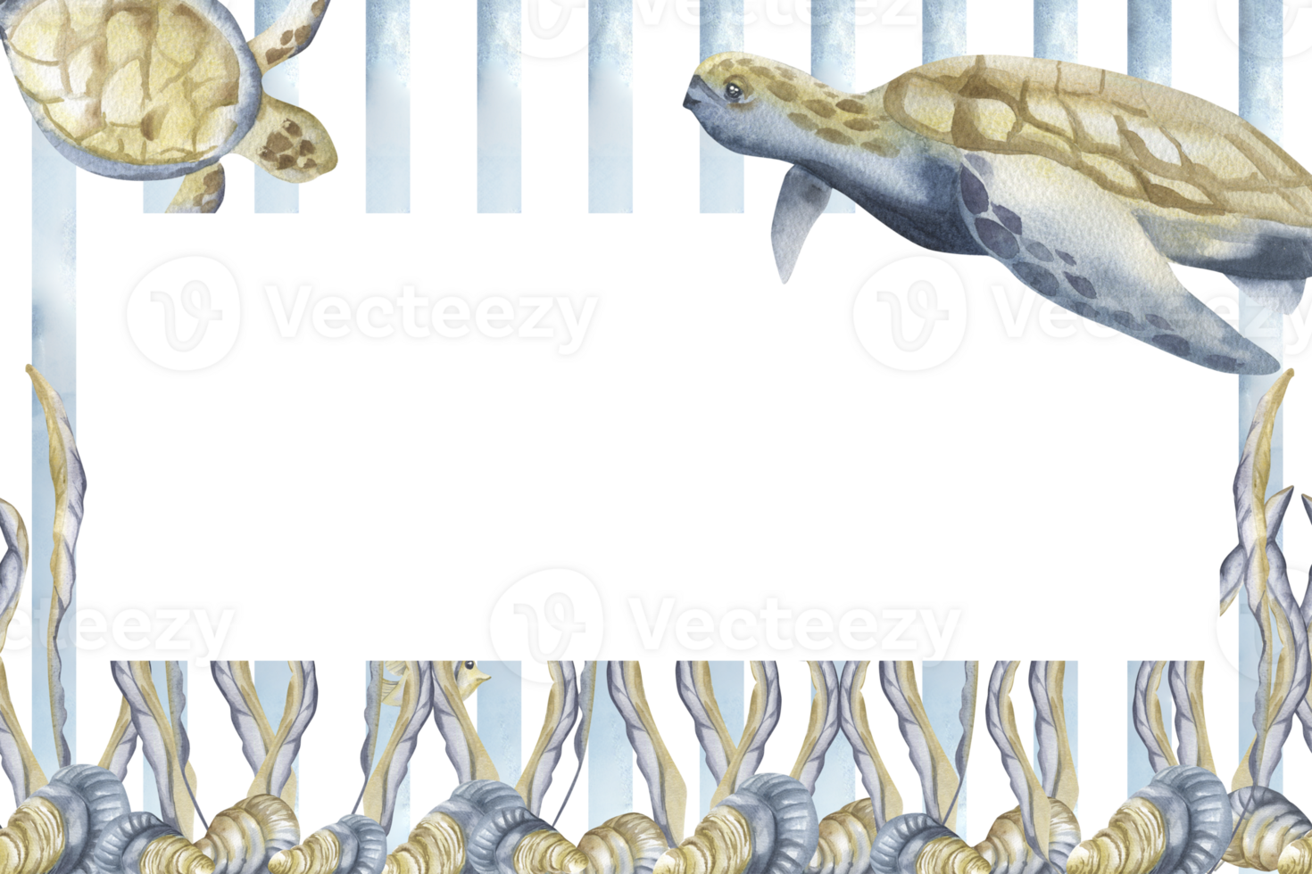 Seaweeds,sea shells and big turtle in blue and beige colors on striped background watercolor banner template. Hand drawn frame with deep sea creatures and flora, nautical clipart for card design png