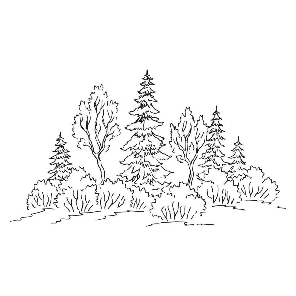 Nature landscape with forest. Hand drawn illustration. vector