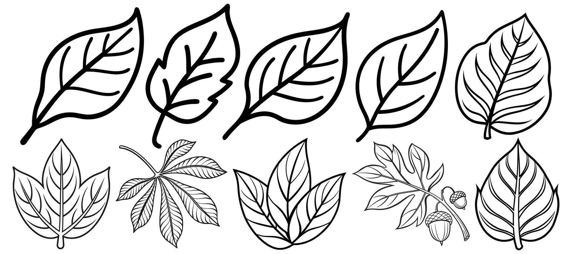 leaves outline set silhouette black and white line art design vector