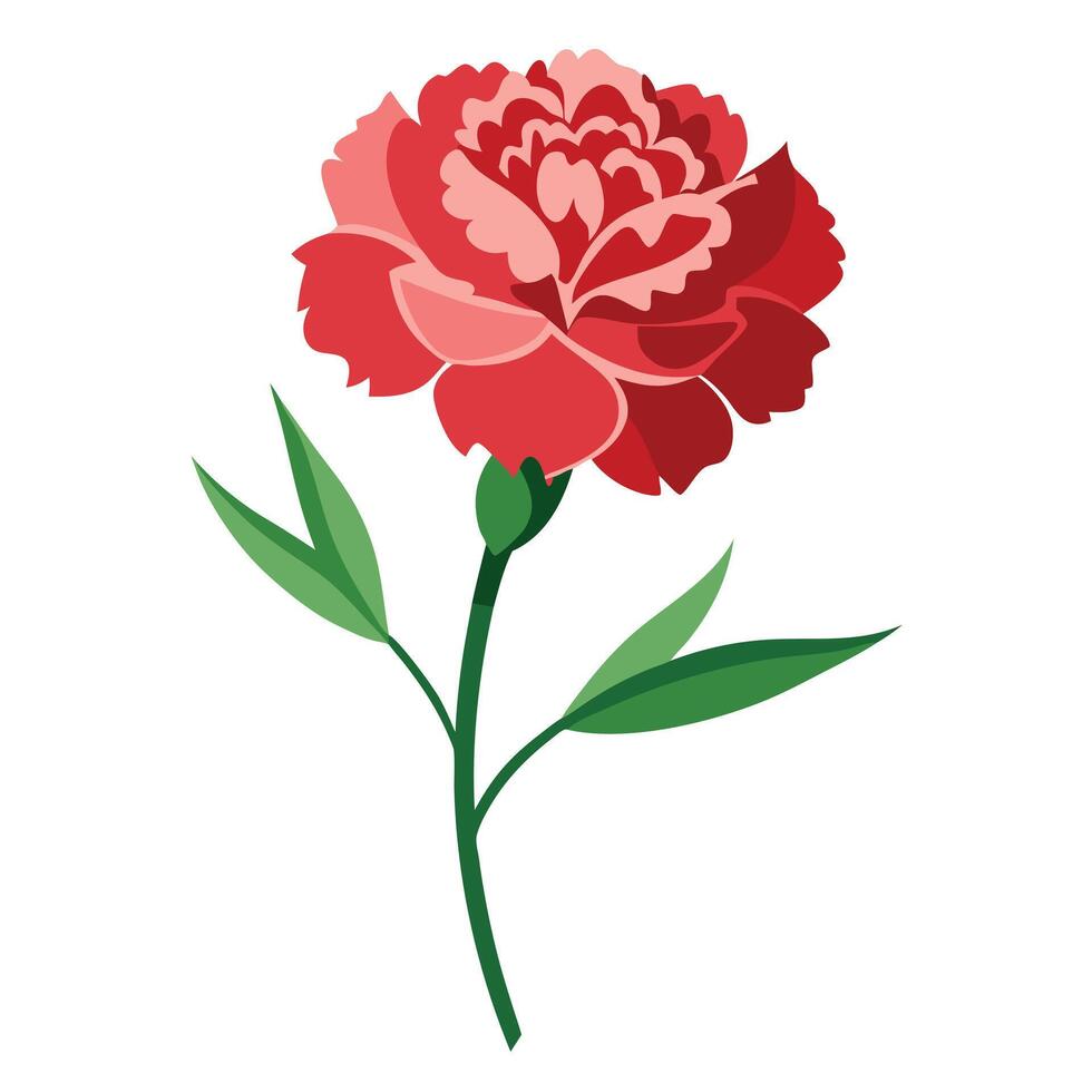 Isolated Red Carnation Flower Illustration Detailed Featuring Stem and Green Leaves on White vector