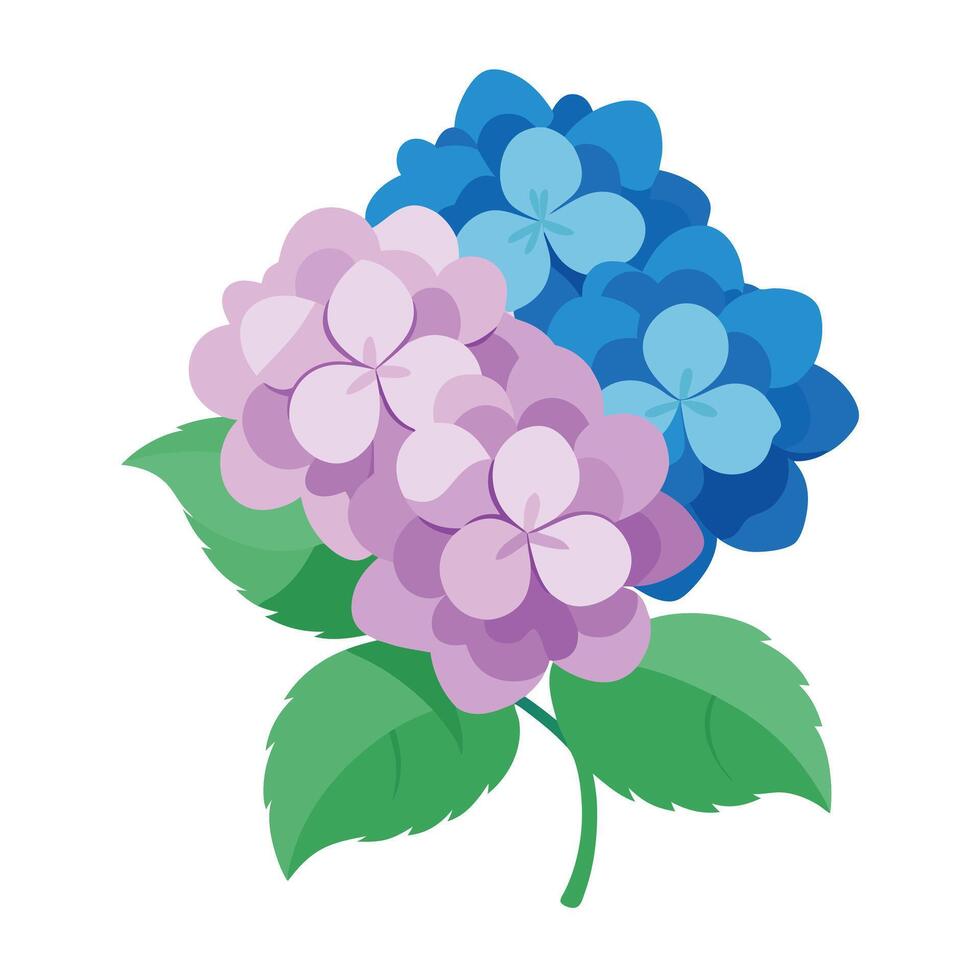 Blue and Lavender Hydrangea Bouquet Illustration with Green Leaves on White Background vector