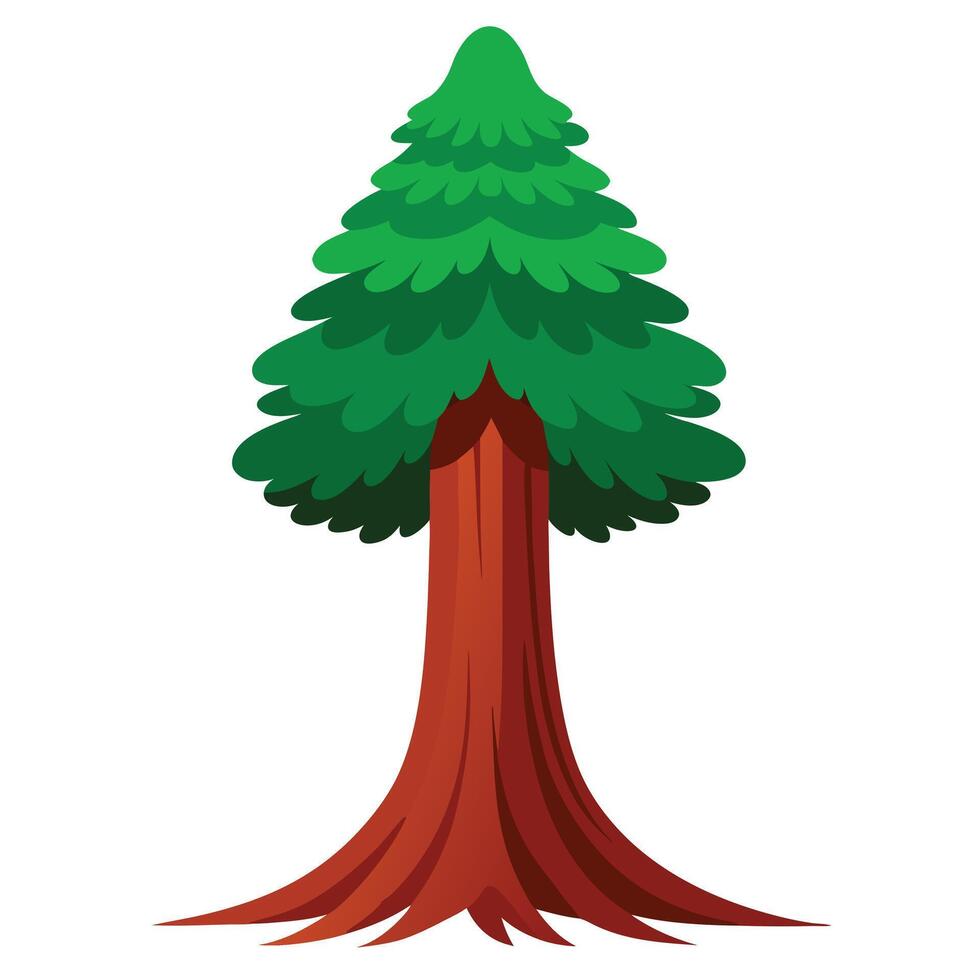 Cartoon Illustration Tall Redwood Tree with Green Foliage on White Background vector