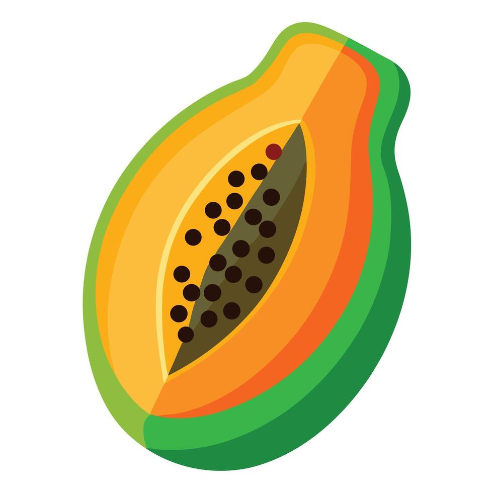 Isolated Papaya Fruit Cut in Half Showing Orange Flesh and Brown Seeds vector