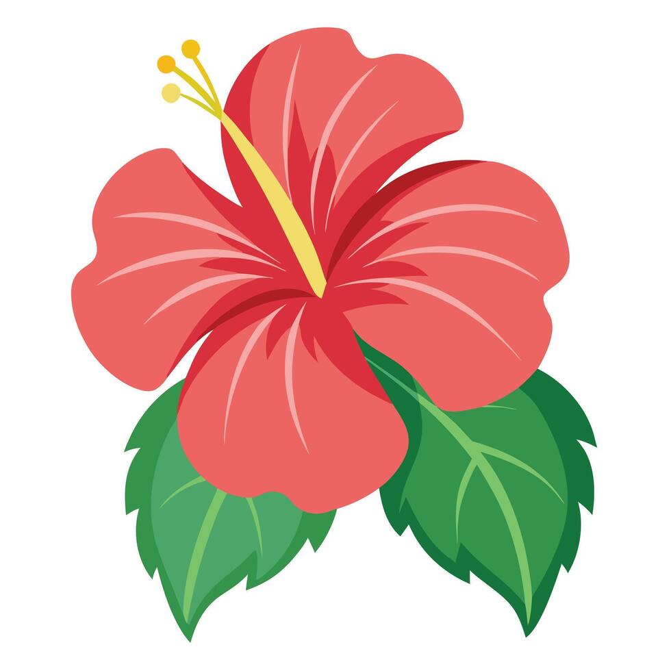 Illustrated SalmonColored Hibiscus Flower with Yellow Stamens and Green Leaves Design Element vector
