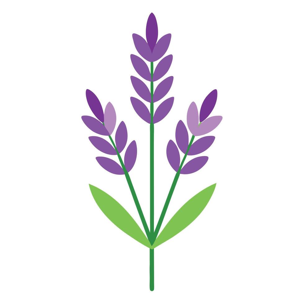 Stylized Lavender Plant Illustration with Purple Flowers and Green Leaves on White Background vector