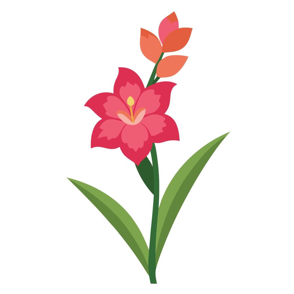 Vivid Red Gladiolus Flower Illustration with Green Stem and Leaves on White Background vector
