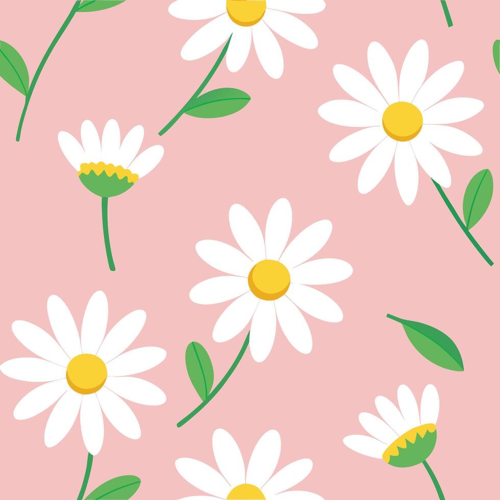 Daisy Flower Pattern on Light Pink Background Floral Illustration Design vector
