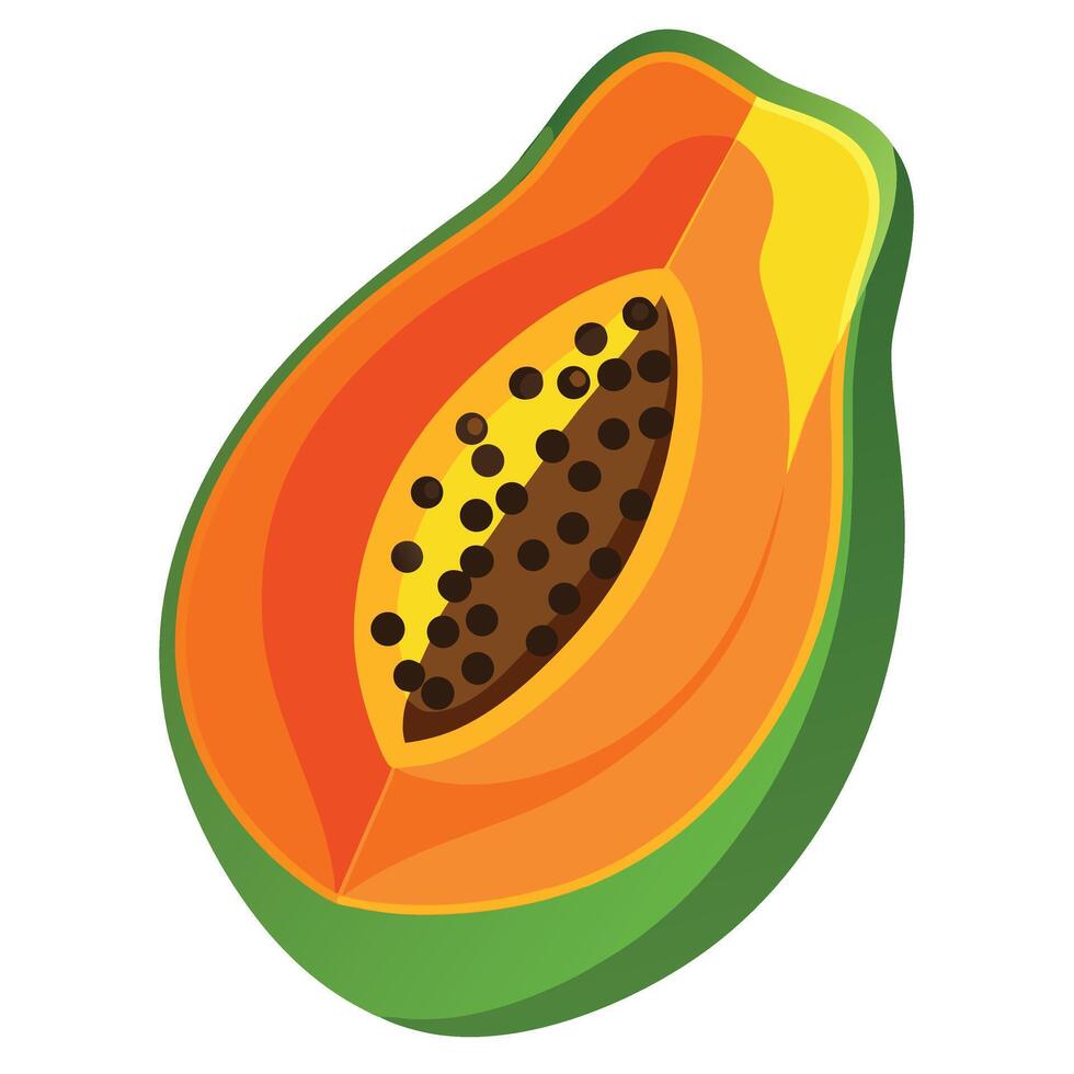 Sliced Papaya Fruit with Seeds Fresh, Colorful, and Juicy Illustration for Tropical Designs vector