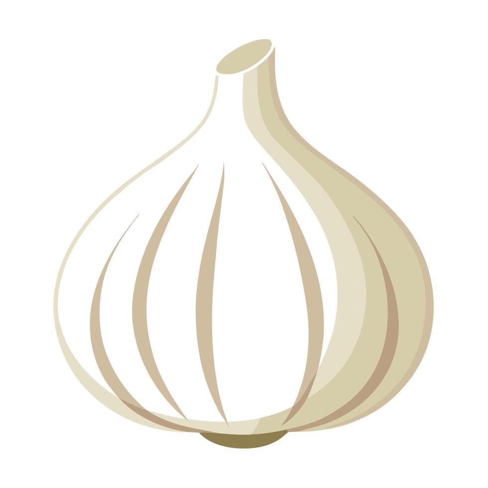 Stylized Garlic Bulb Illustration with Creamy White Tone Isolated on White Background vector