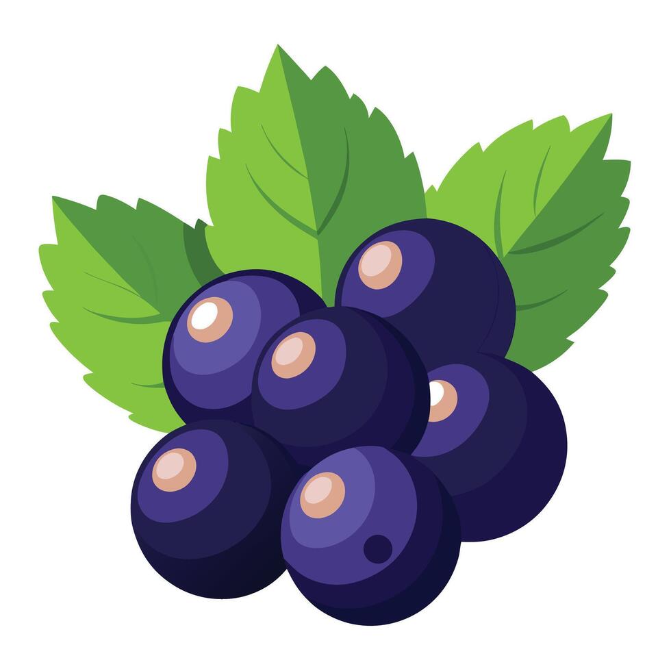 Cartoon Blackcurrant Illustration Ripe Berries Cluster with Green Leaves on White Background vector