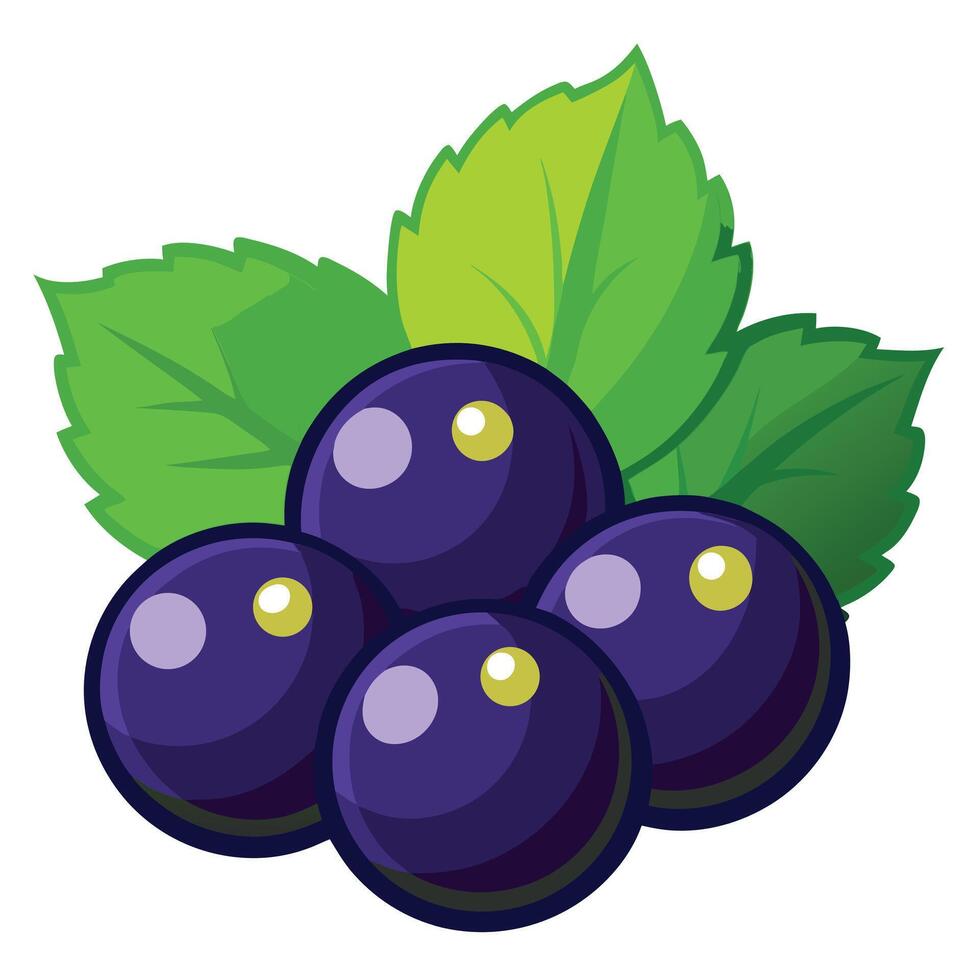 Bunch of Luscious Purple Berries with Bright Green Leaves, Isolated Still Life vector