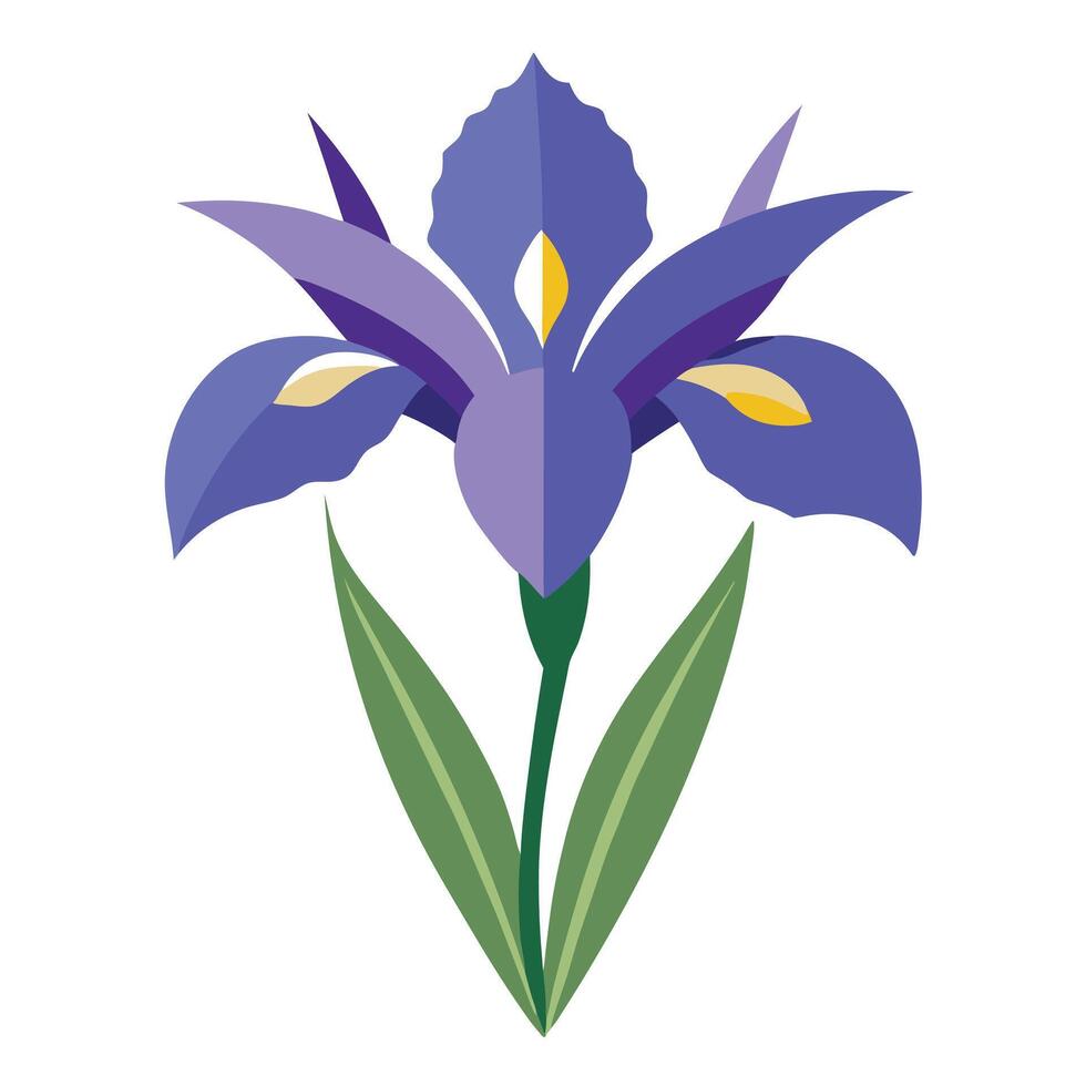 Stylized Illustration of an Iris Flower with Violet Petals and Green Leaves on White vector