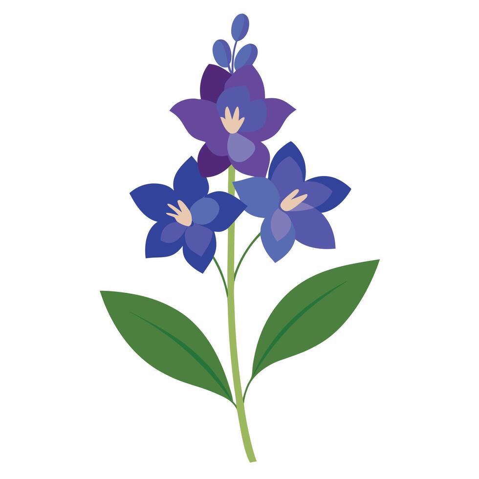 Stylized Illustration of a Purple Larkspur Flower with Green Leaves and Stem on White vector