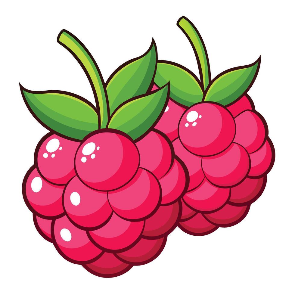 Two Cartoon Style Raspberries with Green Leaves, Isolated on White Background vector