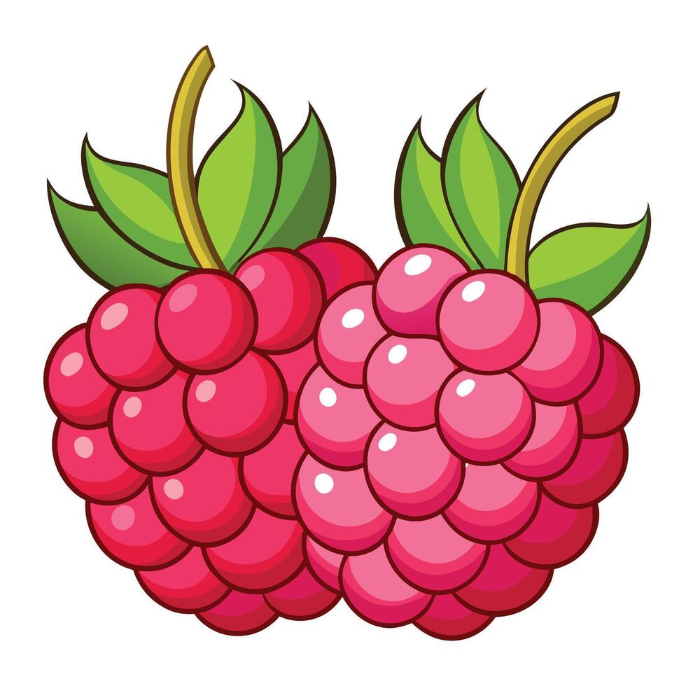 Two Cartoon Raspberries with Green Leaves on a White Background Illustration vector