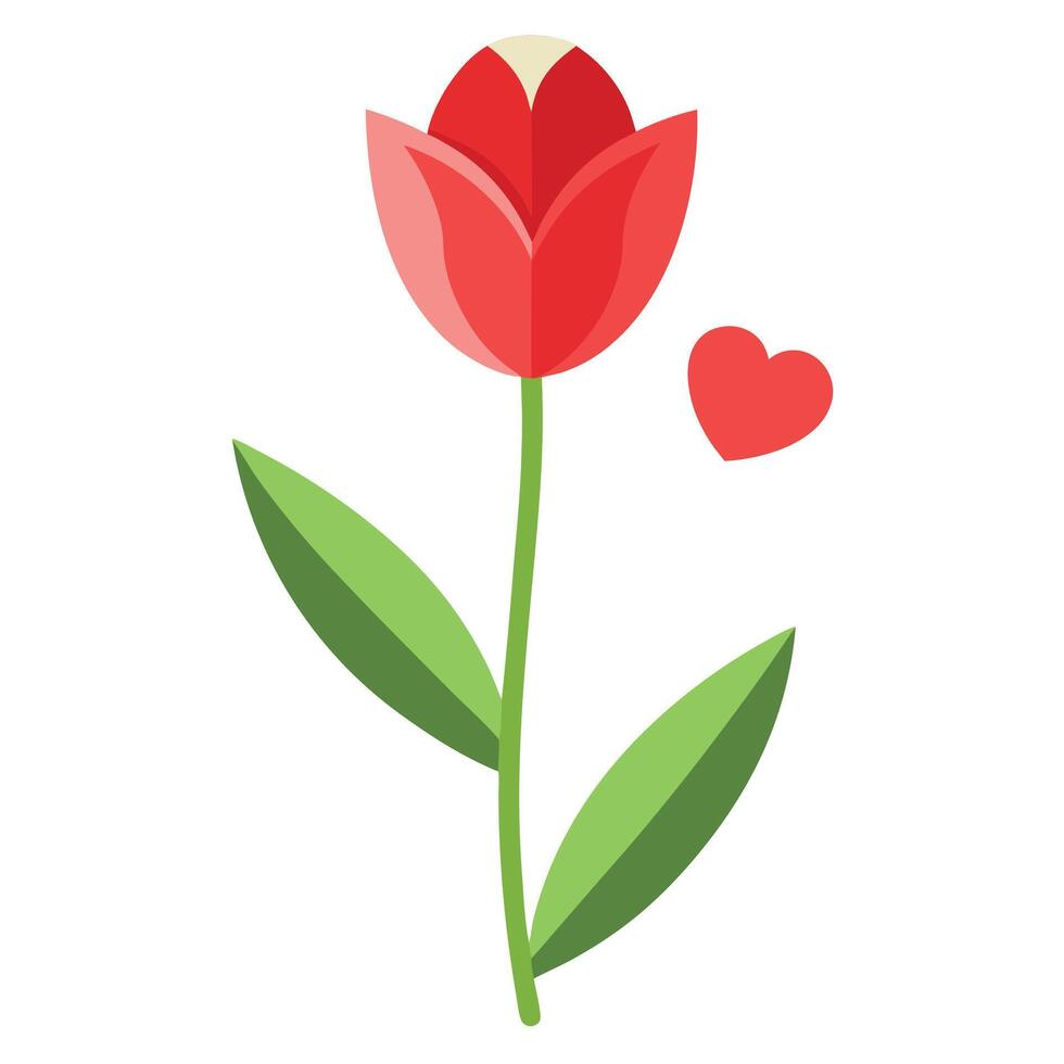 Simple Flat Design Red Tulip with Green Leaves and a Heart Shape vector