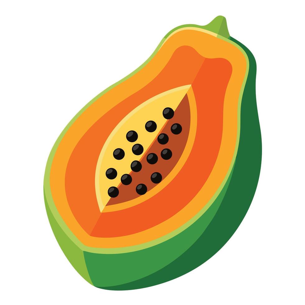 Sliced Papaya with Black Seeds and Orange Pulp Isolated on White Background Illustration vector