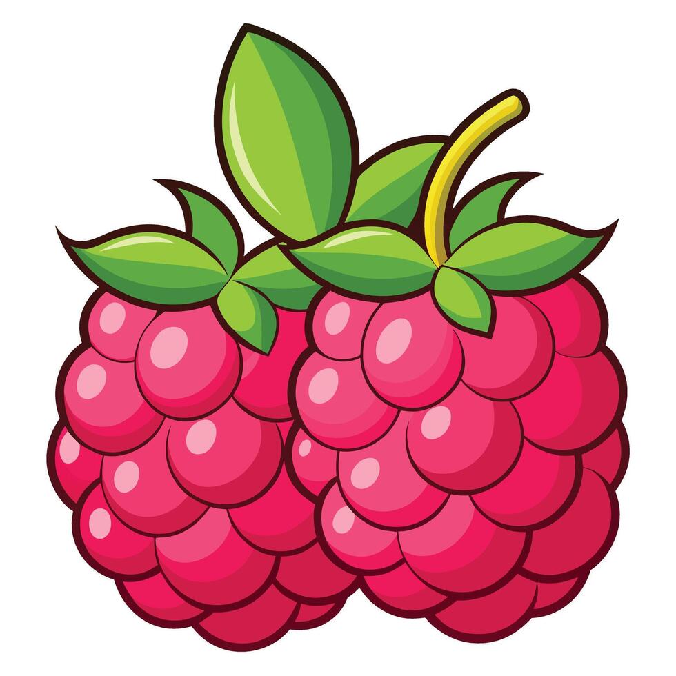 Two Bright Pink Raspberries with Green Leaves on a White Background vector