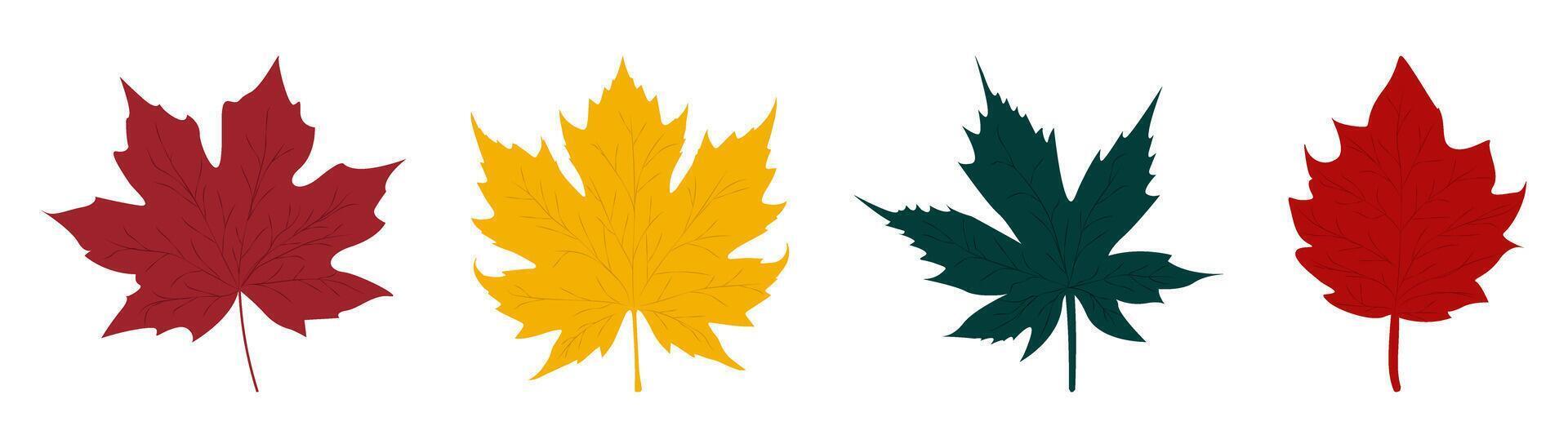 Set of leaves. Flat elements simple on transparent background vector