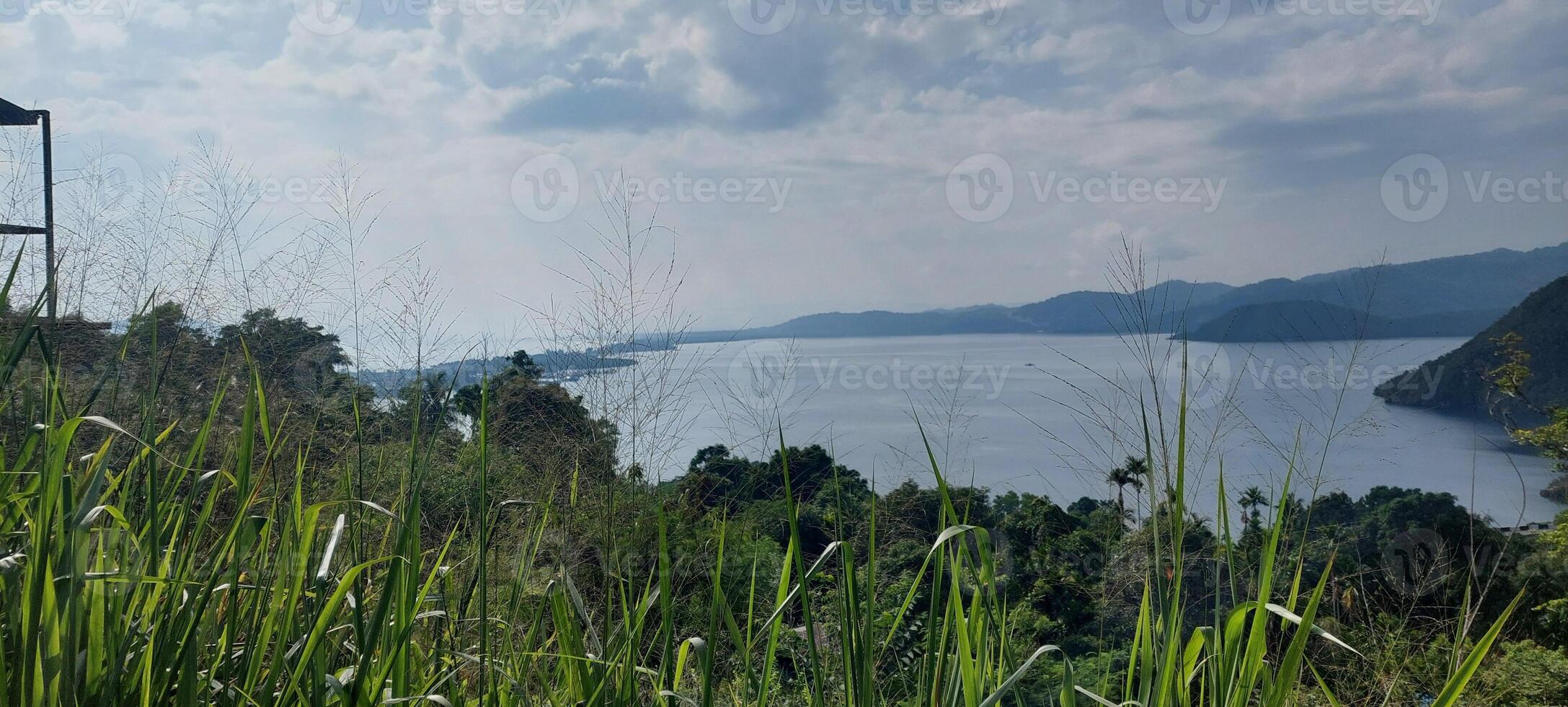 A view of the lake from a lookout tower photo