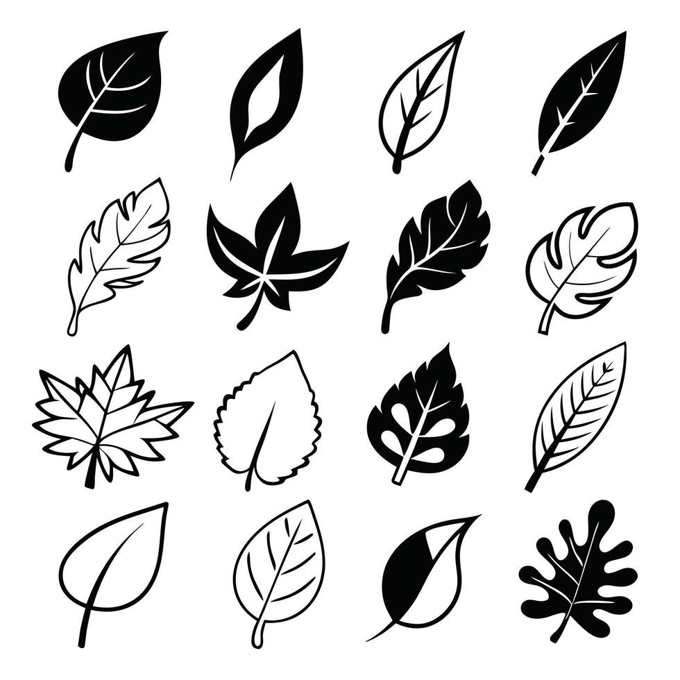 Collection of Stylized Leaf Outlines vector