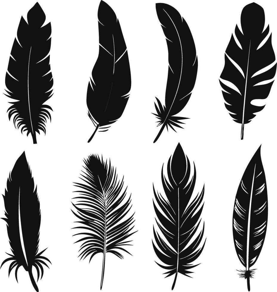 Collection of Black Feather Silhouettes vector