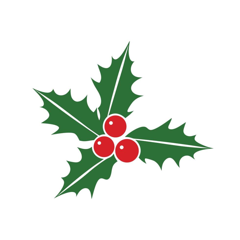 Simple Green Holly Leaves with Red Berries Christmas Decoration Isolated on White Background vector