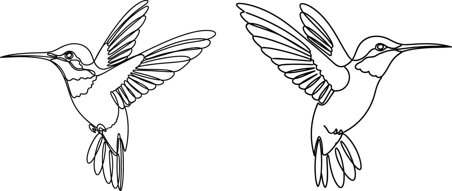Two Hummingbirds Line Art Flying Illustration of Elegant Bird Design vector