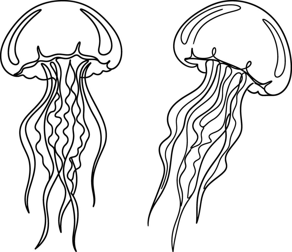 Two Jellyfish Line Art Illustration of Marine Creatures in Black Style vector