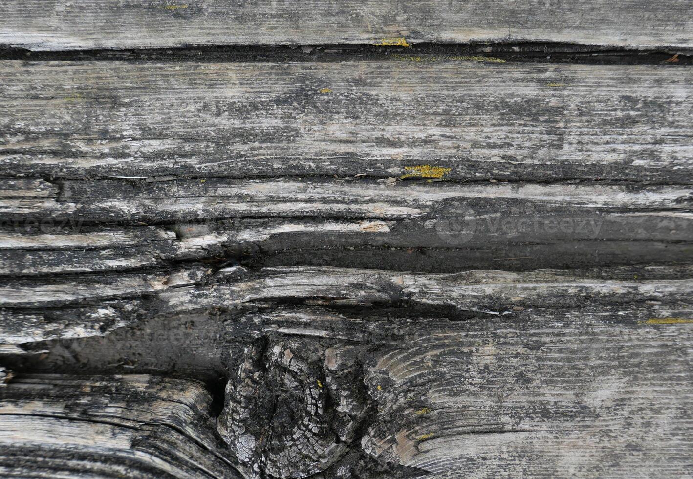 weathered grey brown wood texture background photo