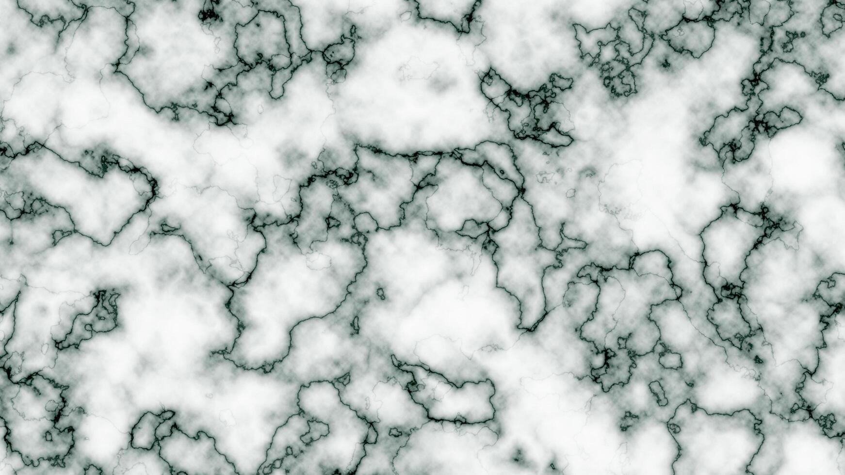 Black and white marble with high contrast veins photo