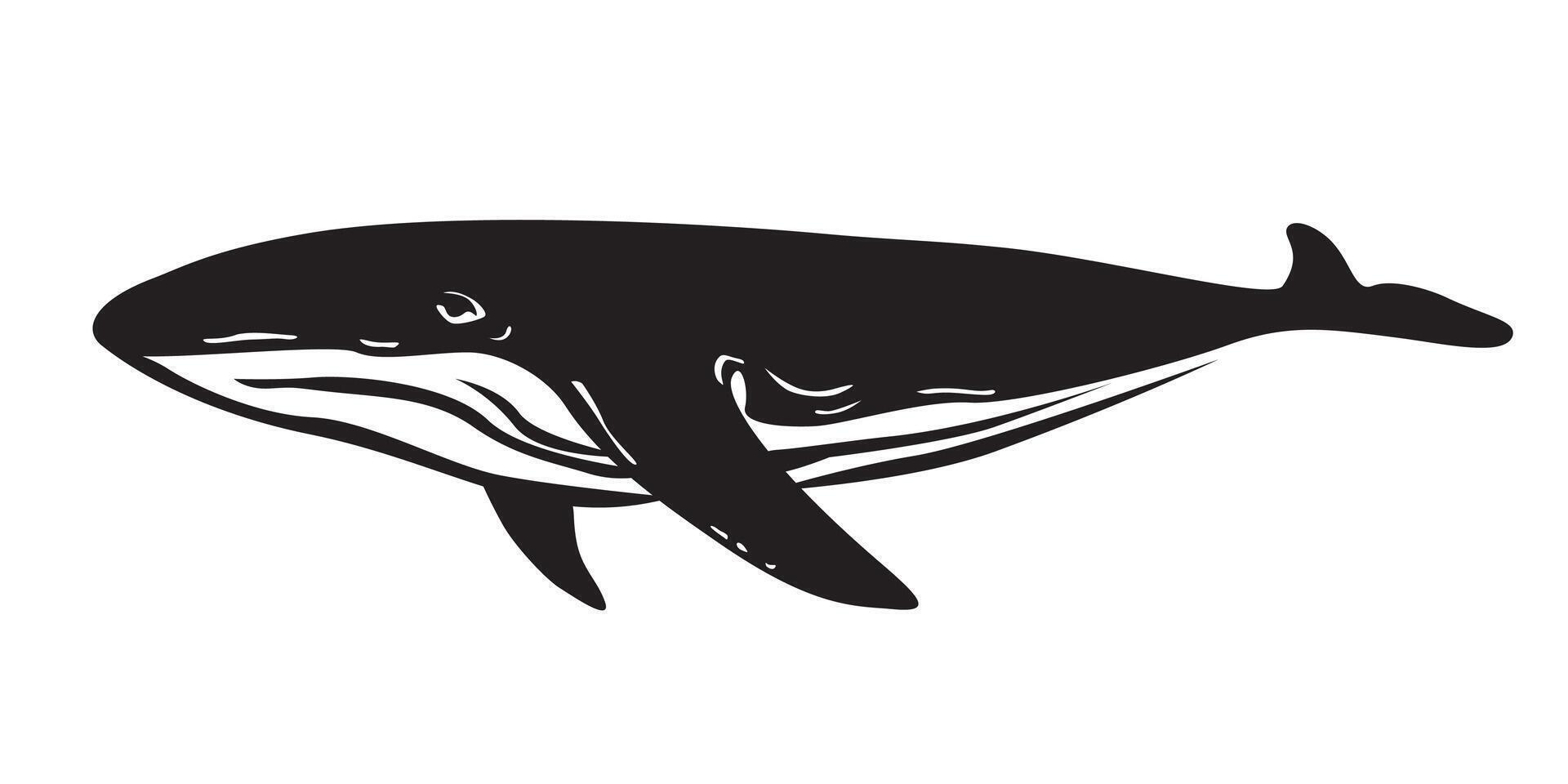 humpback whale silhouette design. big fish symbol. vector