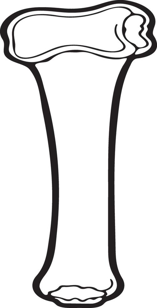 A simple bone outline illustration vector