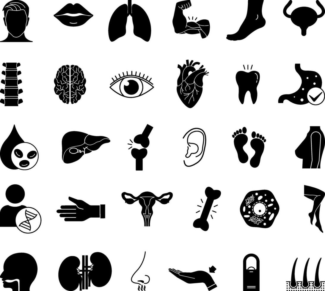 Black Anatomy Icon Set. Illustrations Head, Eye, Nose, Mouth, Ear, Arm, Leg, Spine, Lungs, Kidneys, Stomach, Liver, Hair, Brain, Heart, DNA, and More vector