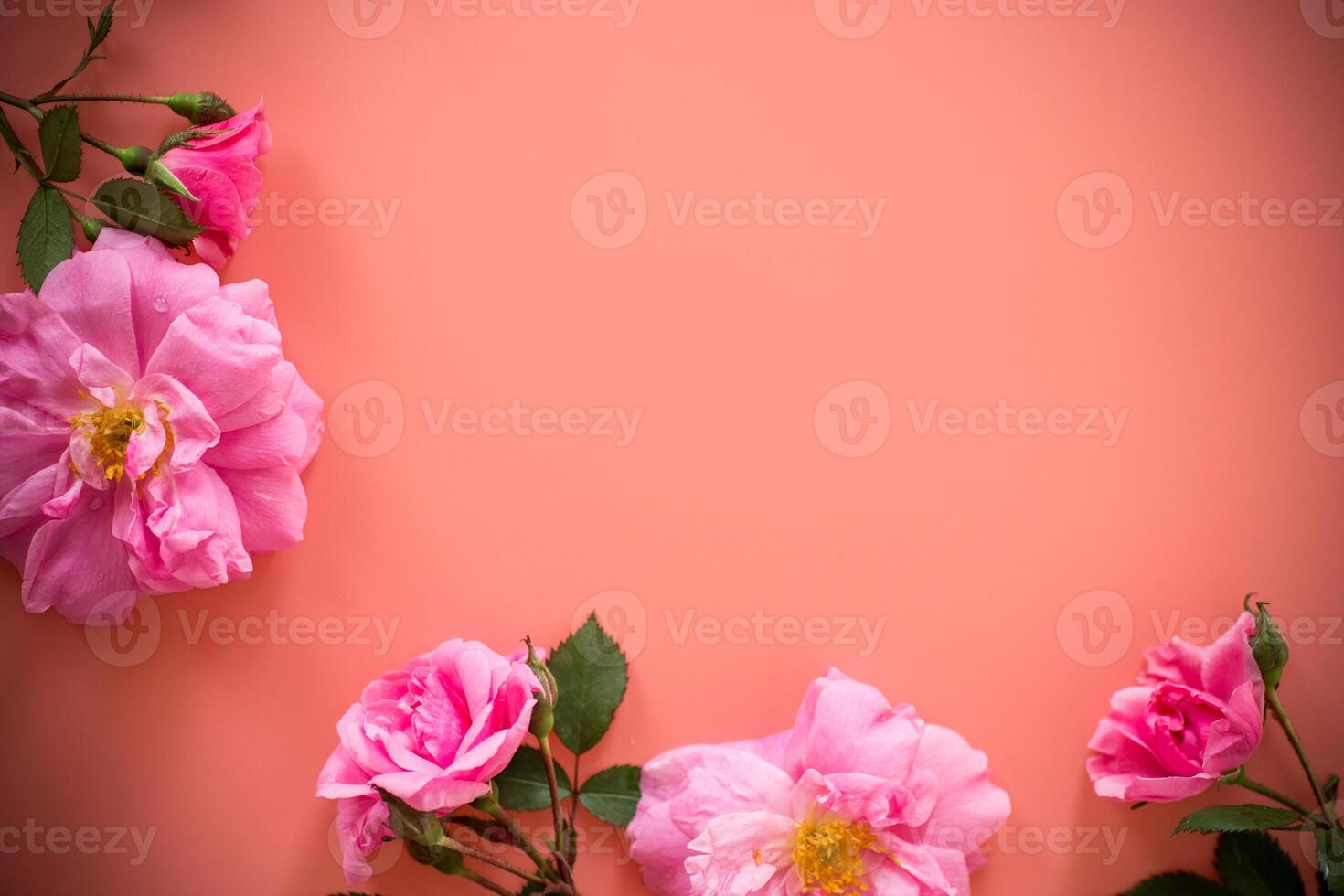 Flower arrangement with roses for background and text photo