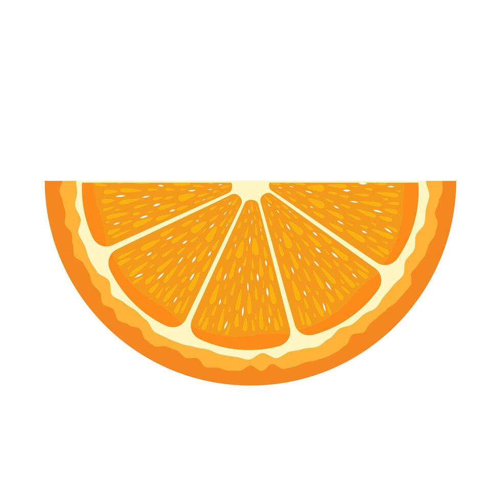 Juicy Orange Slice Illustration. This illustration features a detailed half slice of a juicy orange. The design showcases a realistic cross-section of the fruit. vector