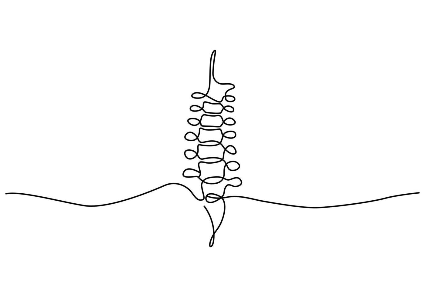A drawing of a spinal cord with a line vector