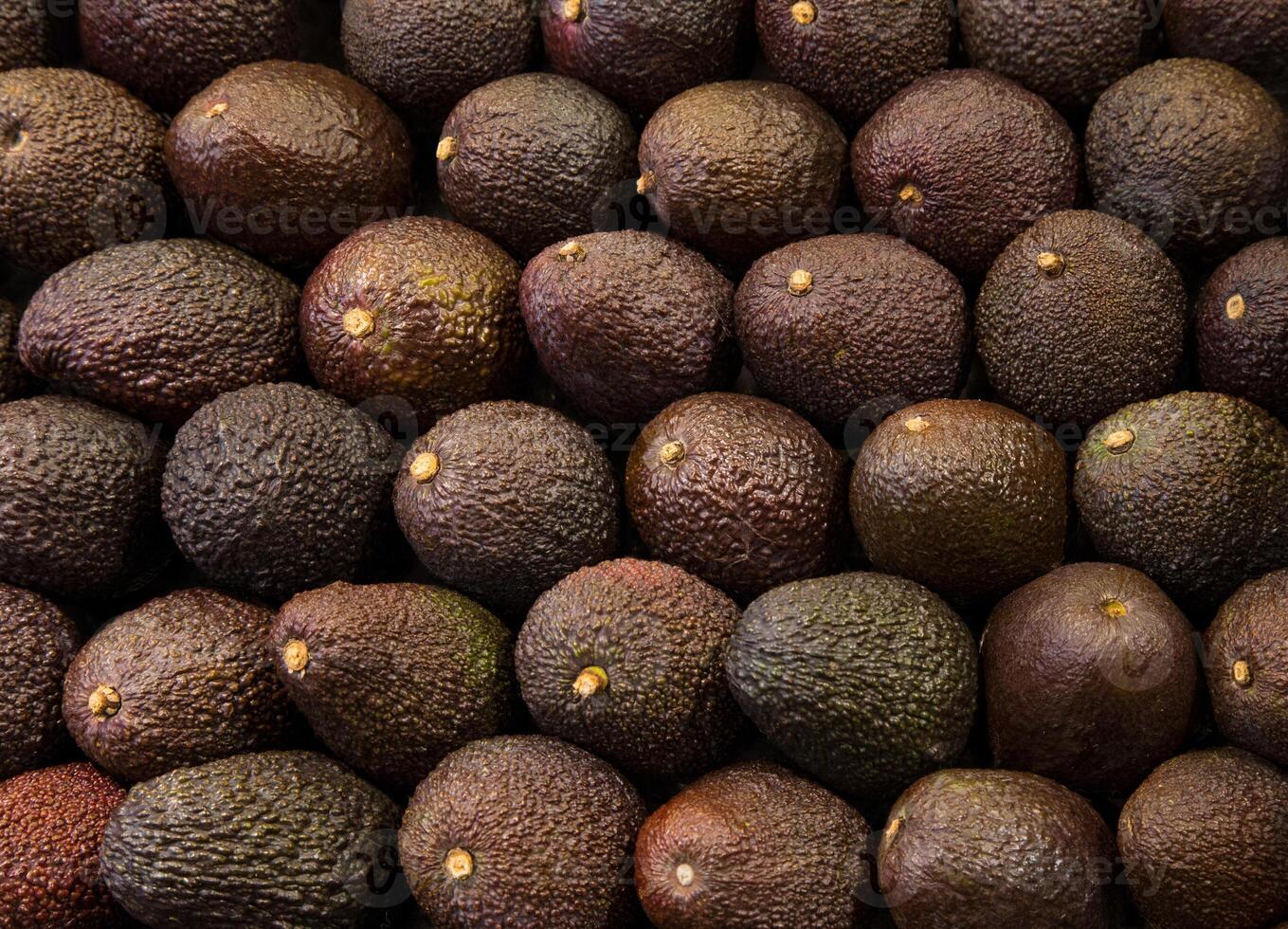 A close up shot of many dark avocados arranged in a grid pattern filling the entire frame view here photo