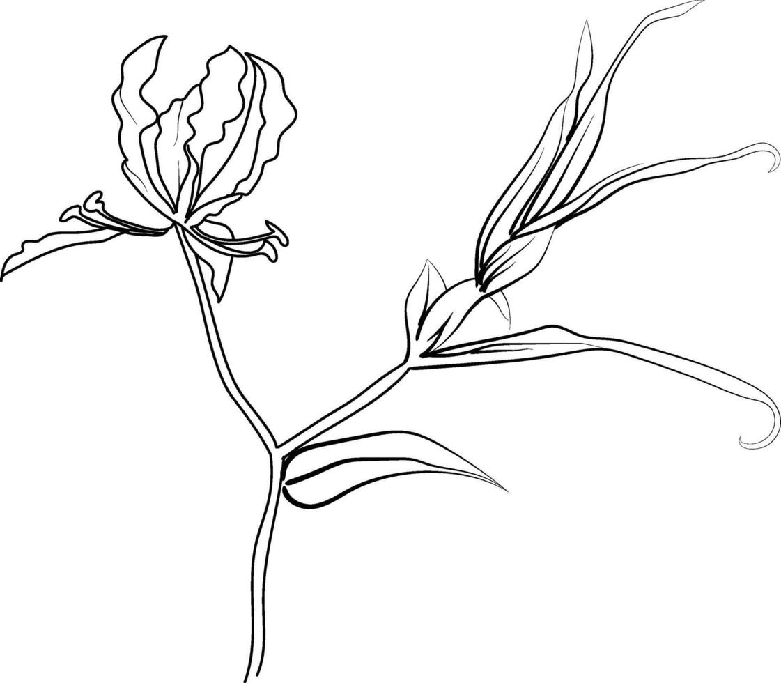 honeysuckle flower line drawings, hand-painted hollyhock flower wall art, hollyhock flowers botanical wall art, simple hollyhock lily drawing outline honeysuckle flower drawing, hollyhock flowers line vector