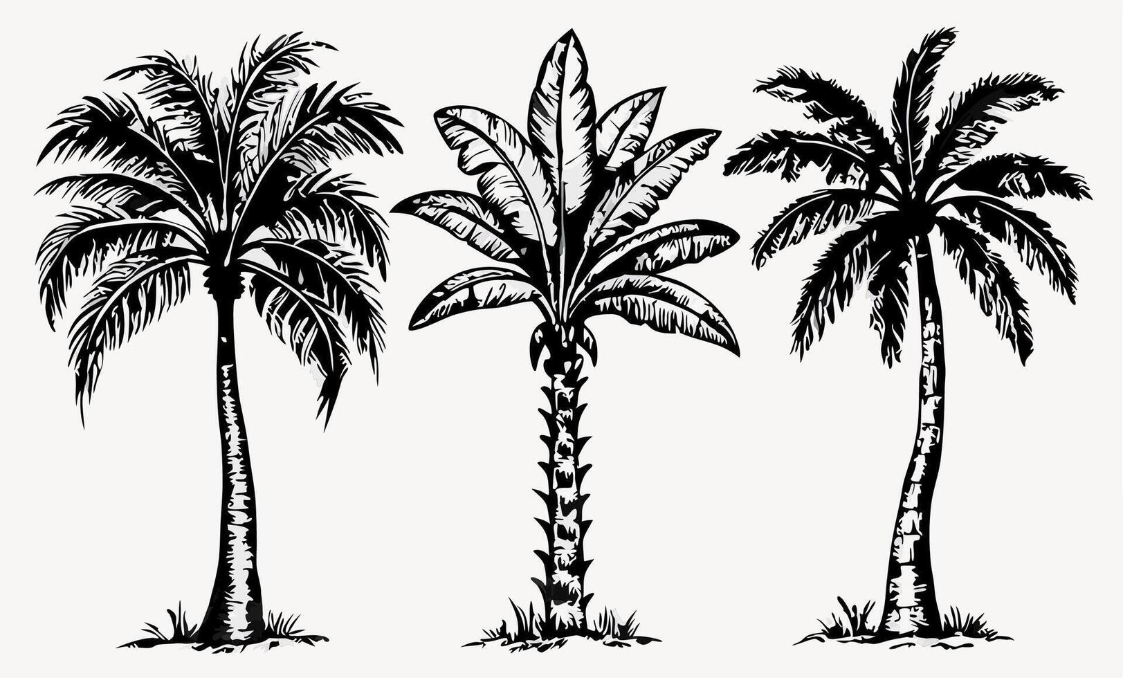 Three Black and White Palm Tree Illustrations vector