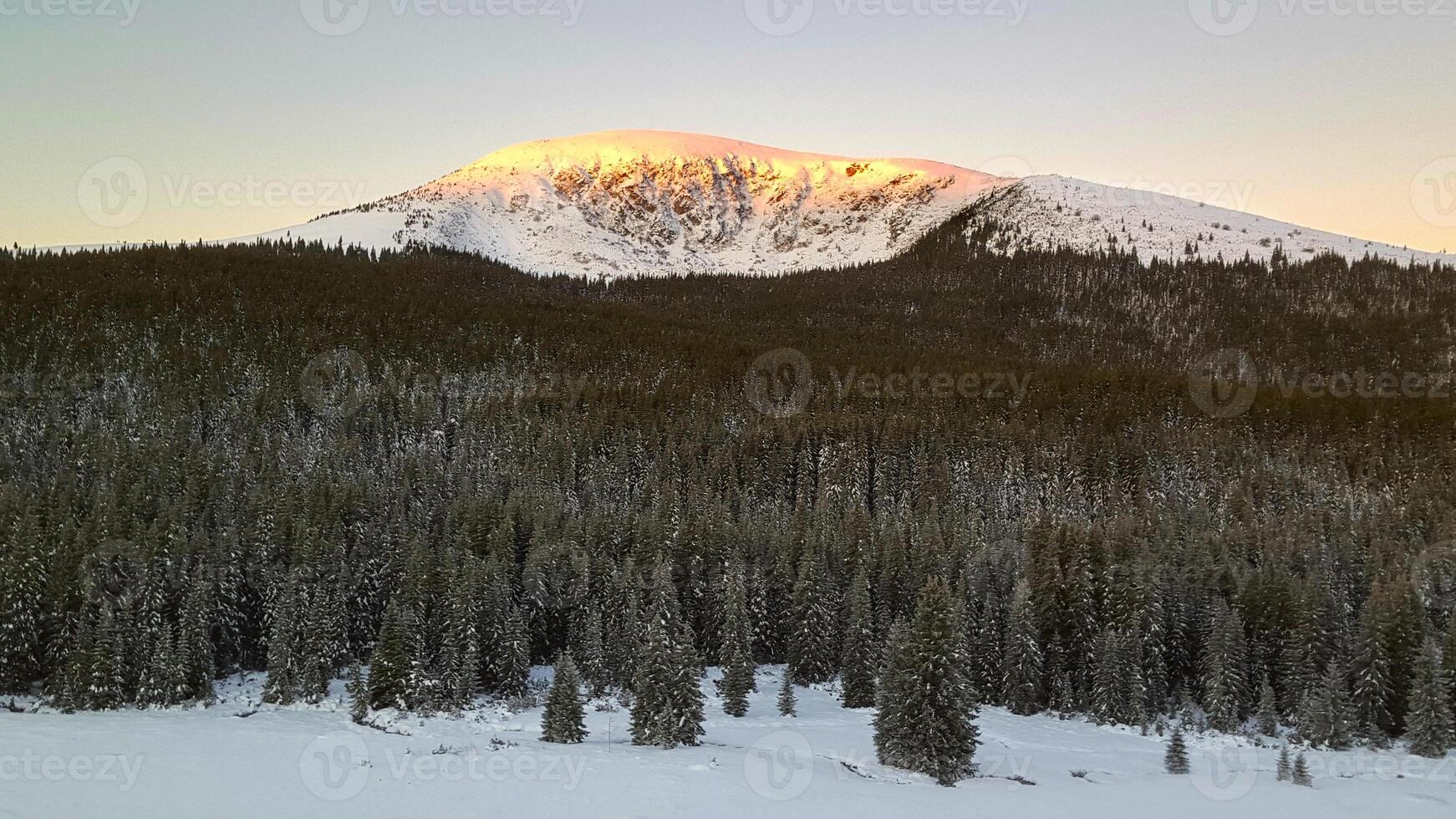 Snowy mountain peak illuminated by sunlight over a dense evergreen forest in winter season view photo