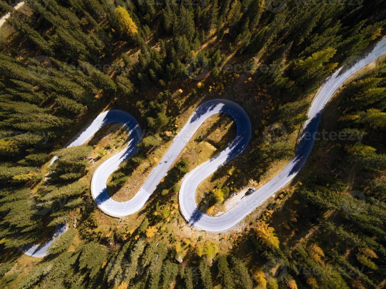 Aerial view of winding road through a dense forest with green trees and some autumn color leaves seen photo