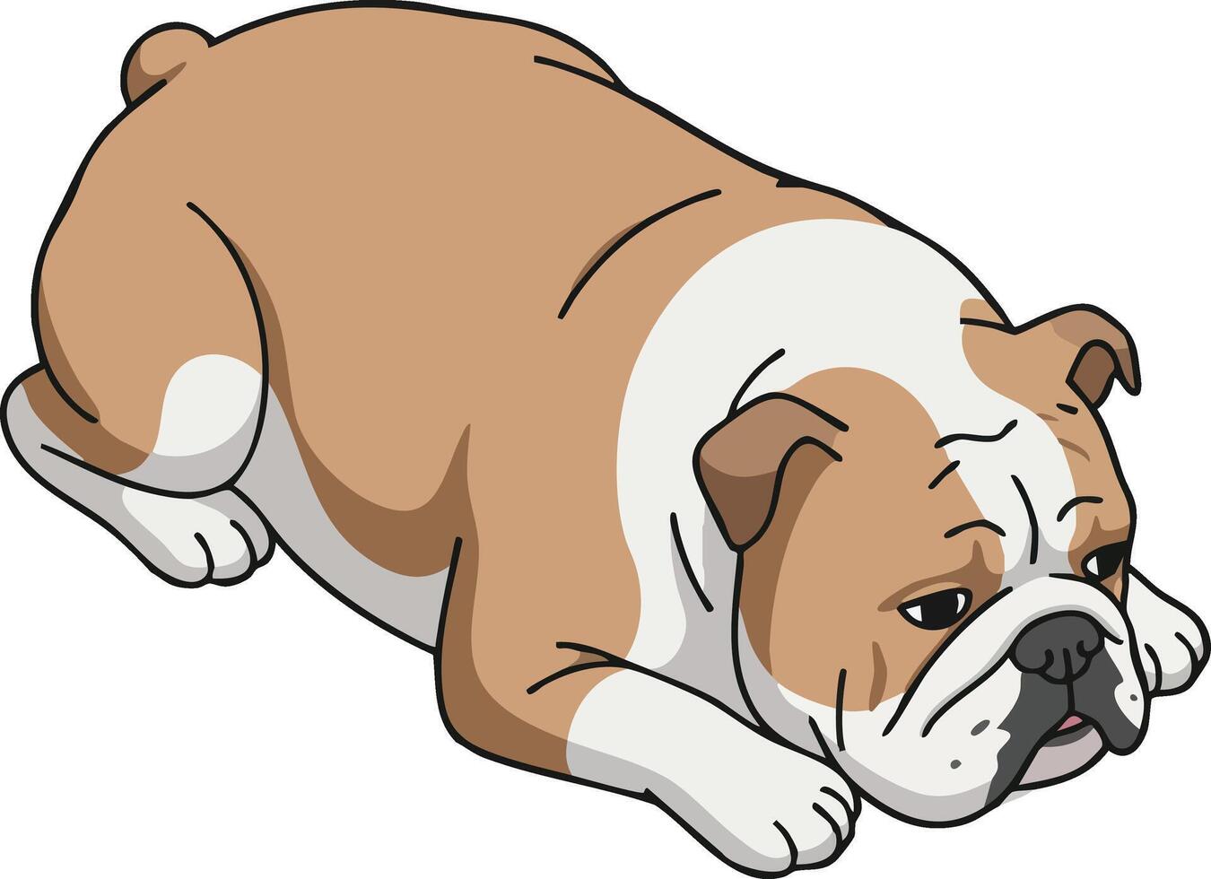 English Bulldog lying down resting calm and relaxed dog illustration vector