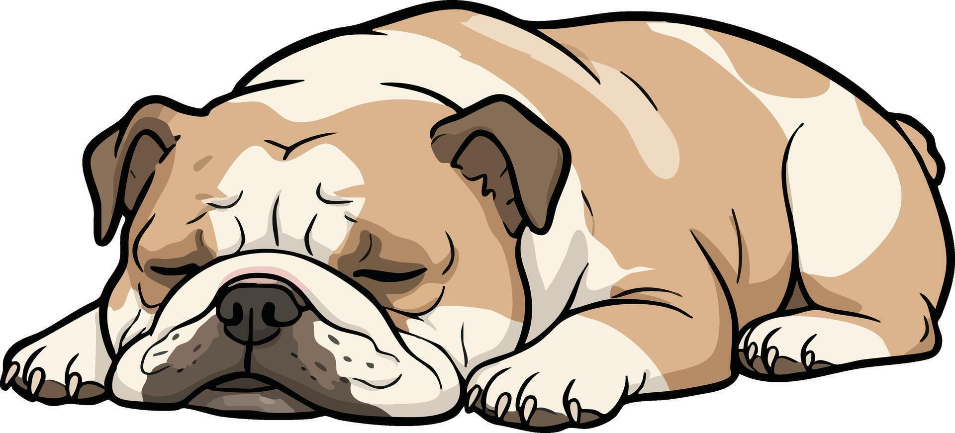 Bulldog sleeping peacefully lying down calm resting dog breed illustration in natural pose art vector